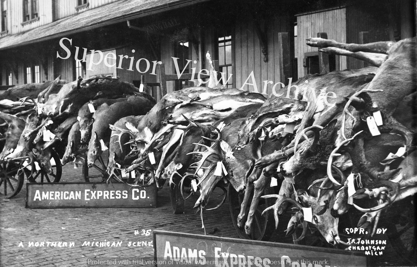 Wagon Load of Big Bucks