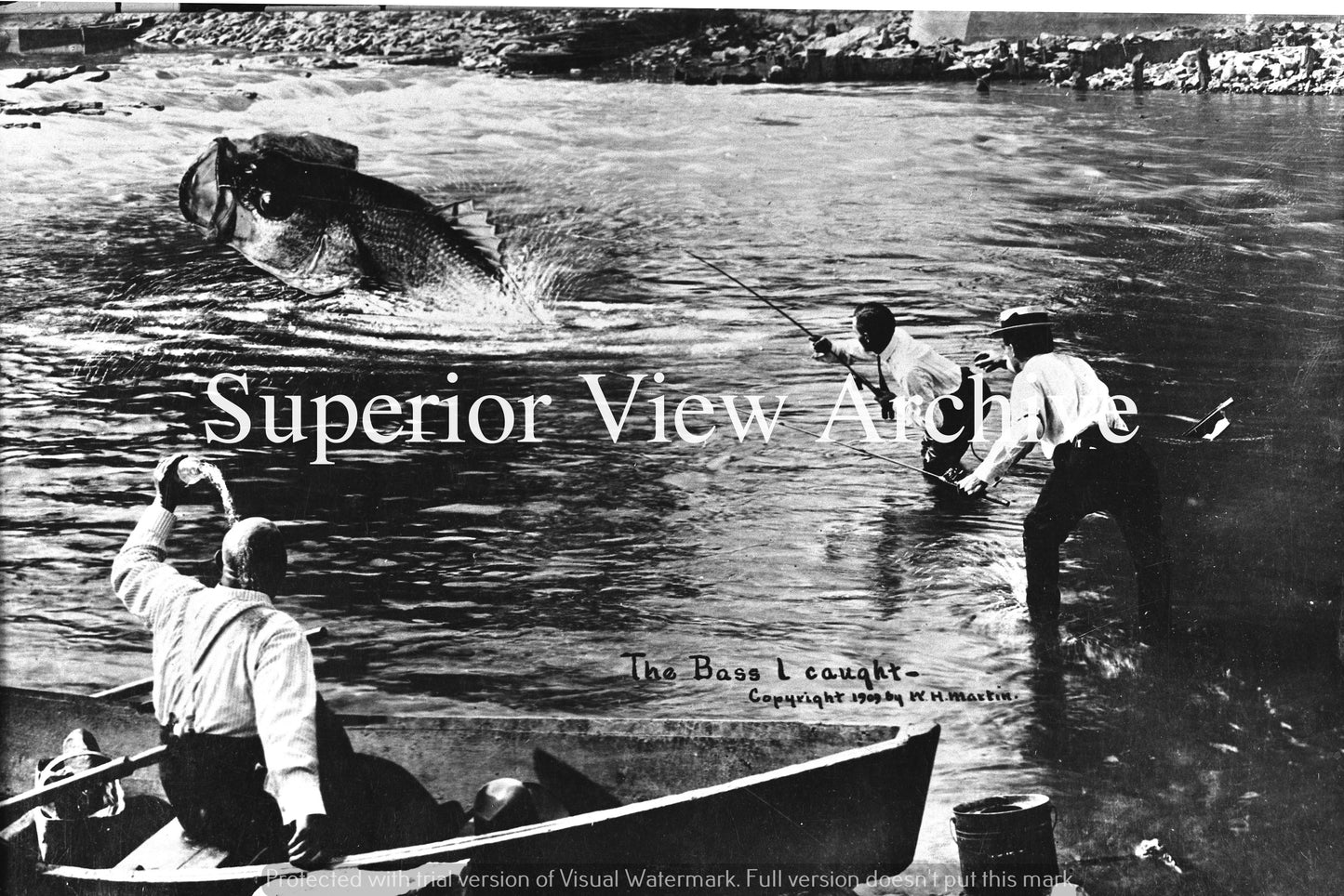 Fake Bass-1909