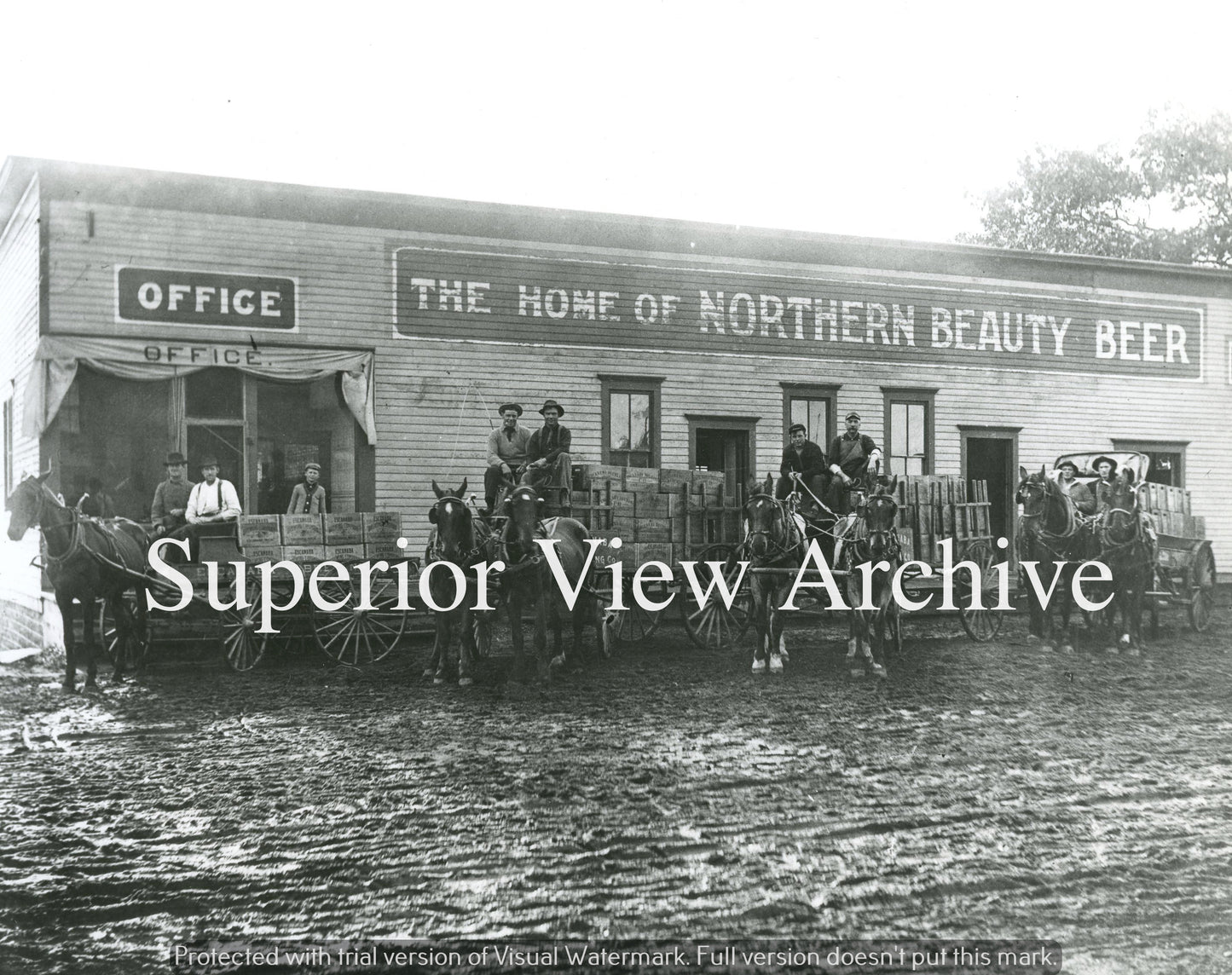 The Home of Northern Beauty Beer