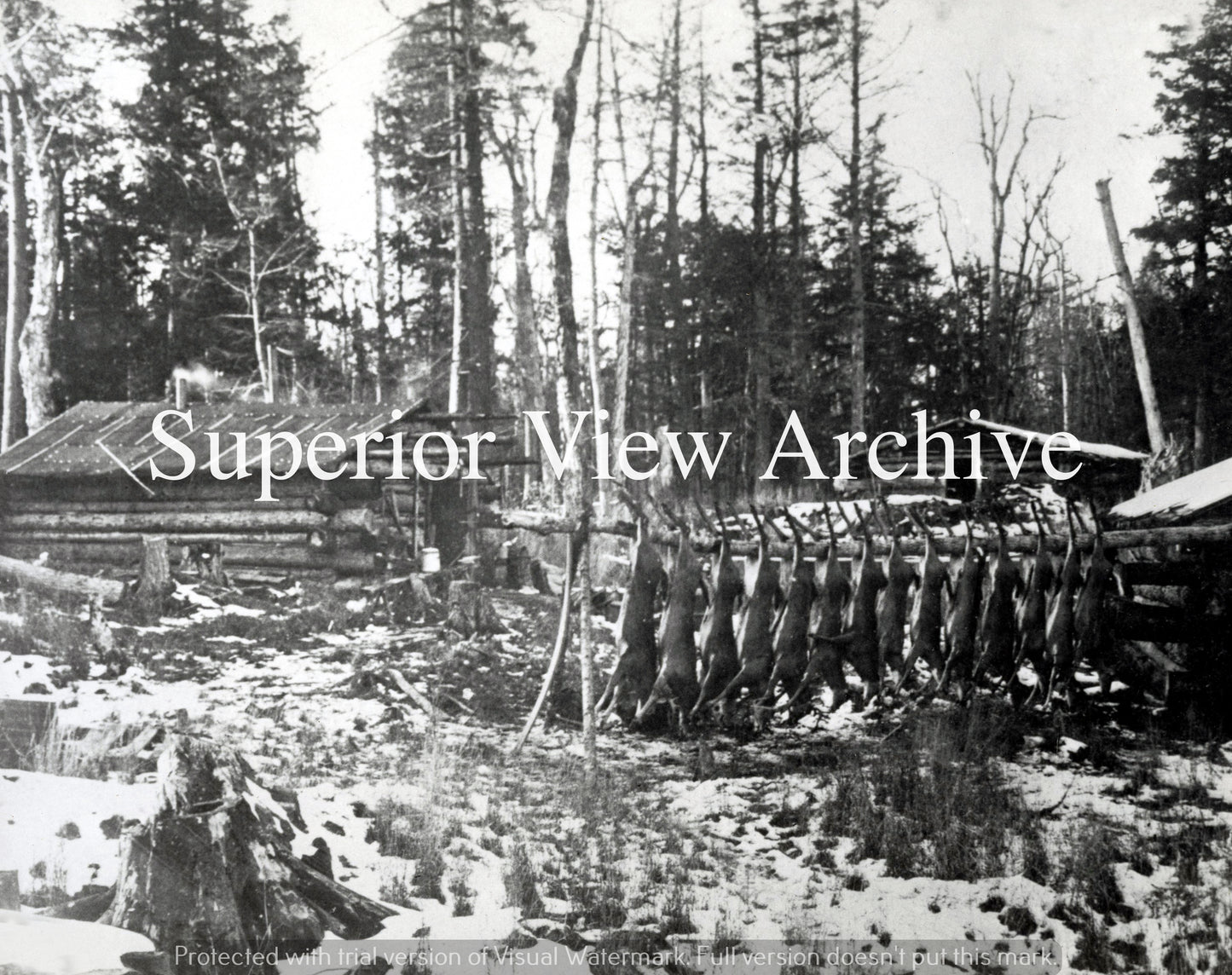 Log Cabin-Full Buck Pole