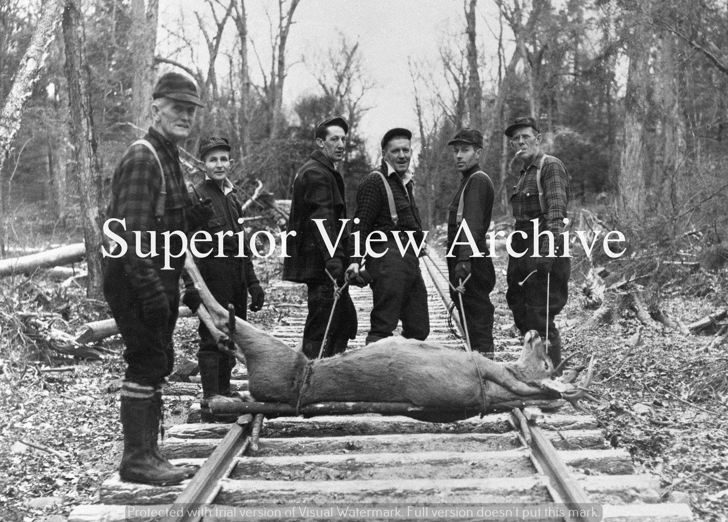 Dragging Deer on Railroad tracks