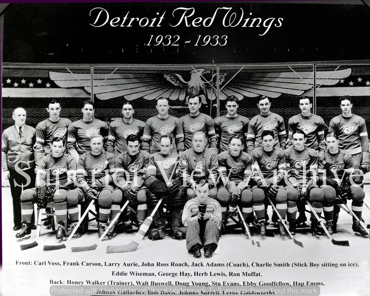 Detroit Red Wings Team Photo 1932-33