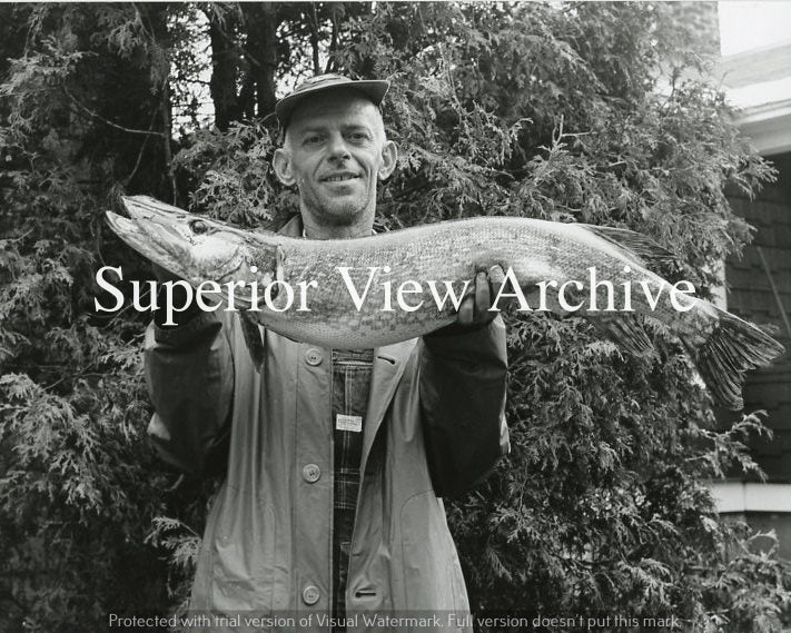 Big Northern Pike