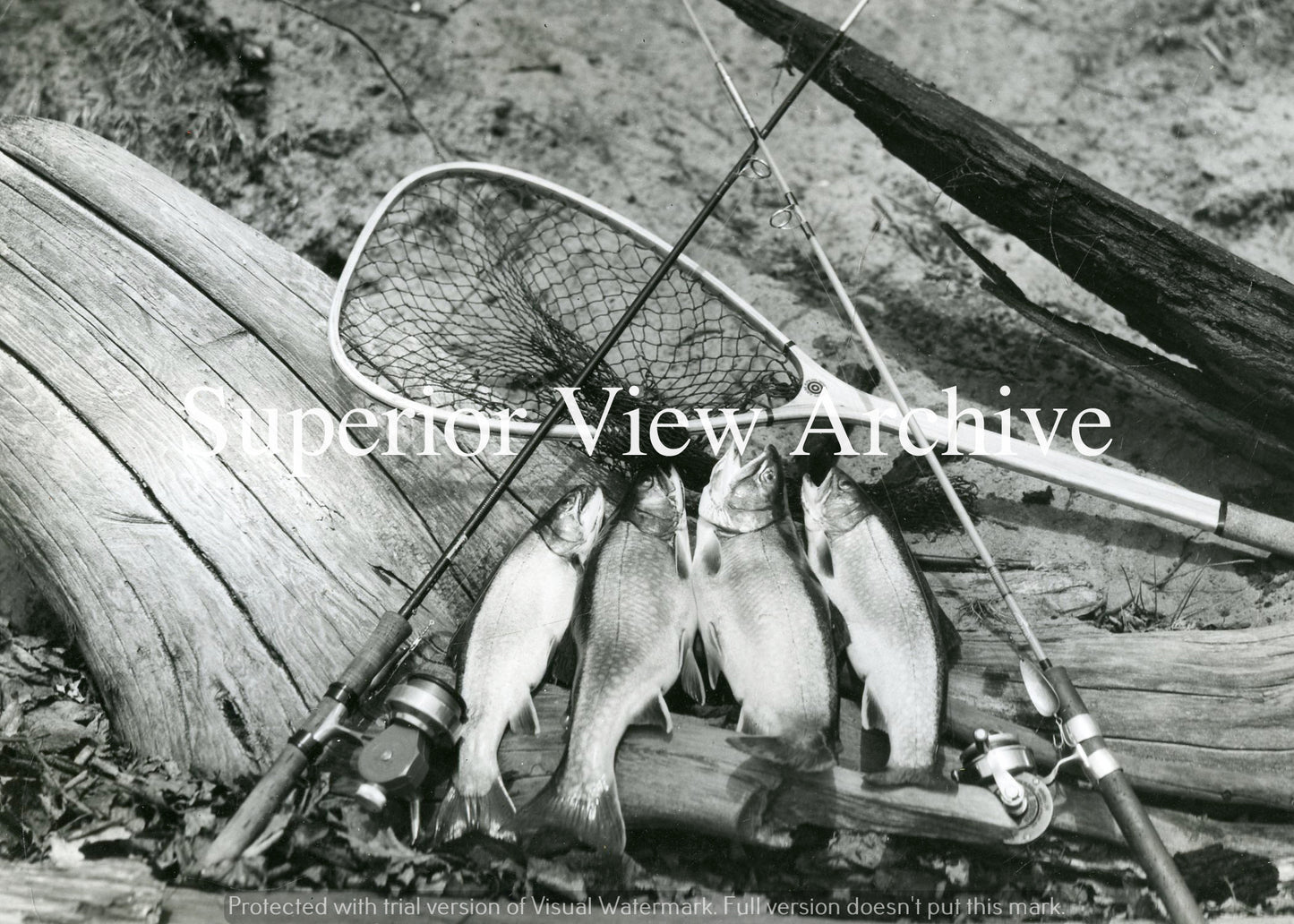 Spinning Reel-Fresh Brookies