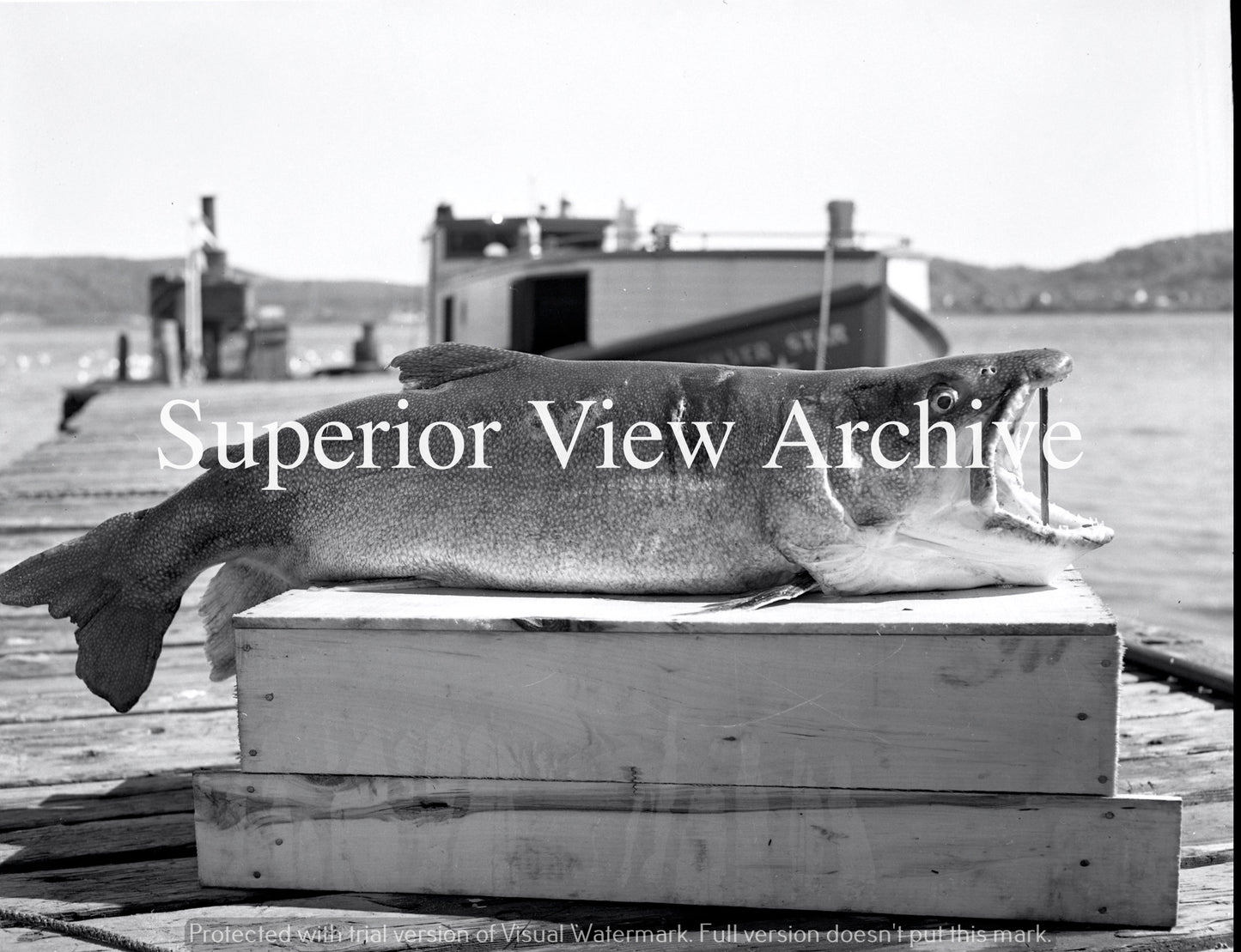 Munising Michigan-Fish Dock