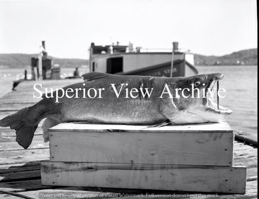 Munising Michigan-Fish Dock