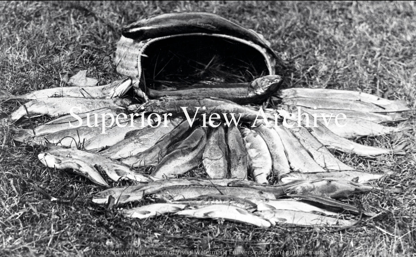 Trout Creel-Upper Peninsula