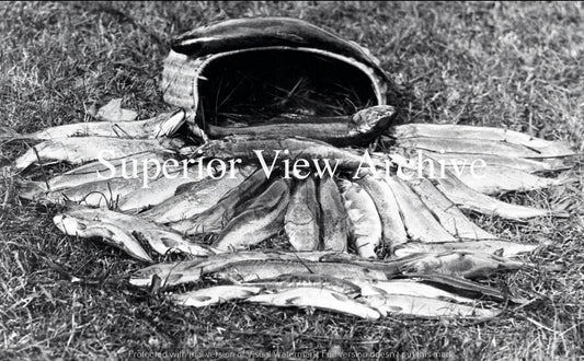 Trout Creel-Upper Peninsula