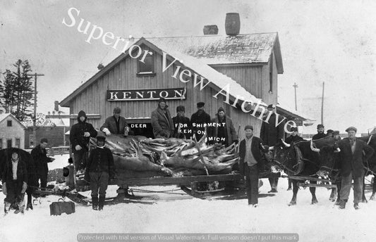 Deer Shipment Kenton MI