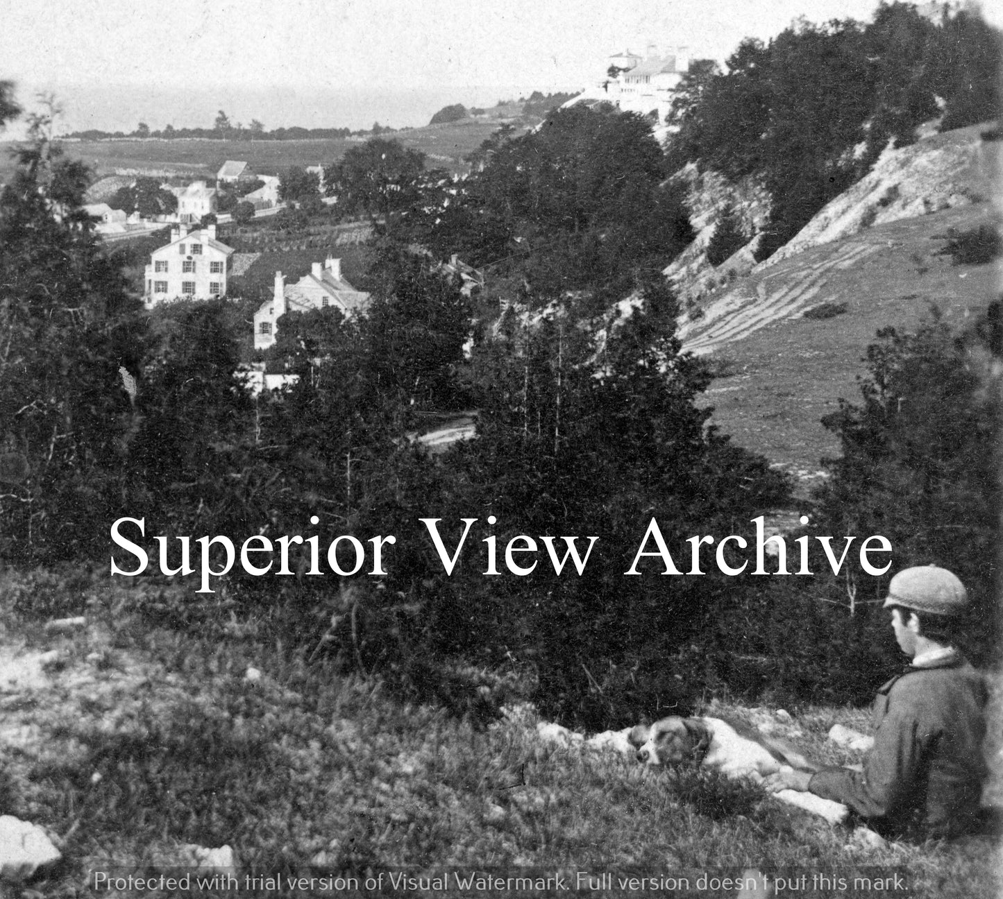 View from the Hillside