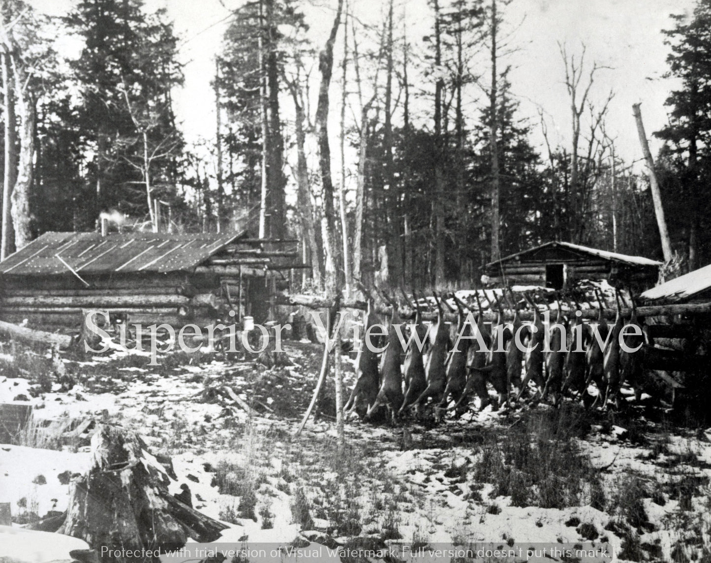 Deer Pole Ontonagon MI