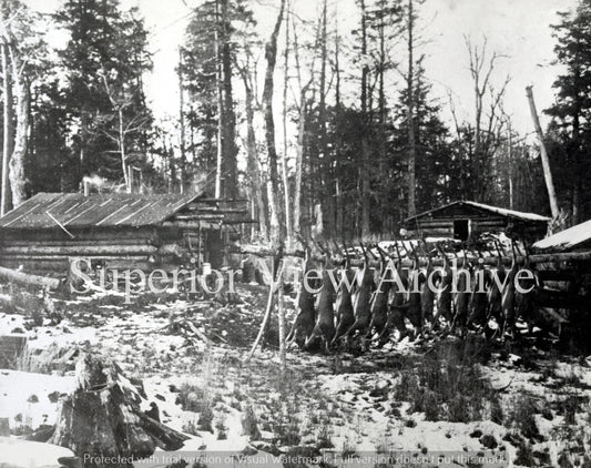 Deer Pole Ontonagon MI