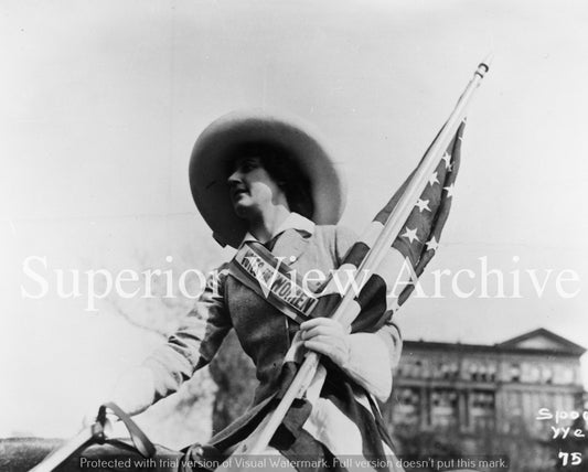 Suffragette On Horseback Detroit MI Votes For Women Banner Big Hat Suffrage