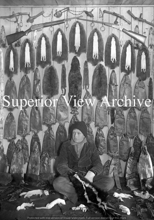 Lots of Pelts-Calumet Michigan-Kid Trapper