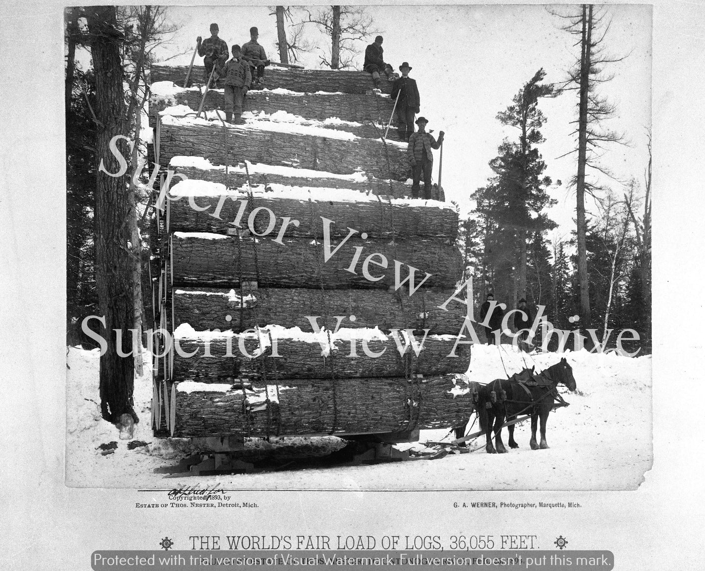 World Record Load of Logs Largest Selling Logging Photo in Michigan