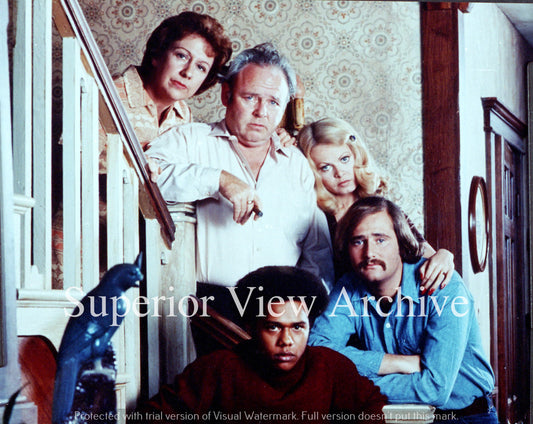 All in the Family TV Show