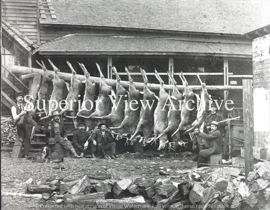 Vintage Buck Pole Crystal Falls MI