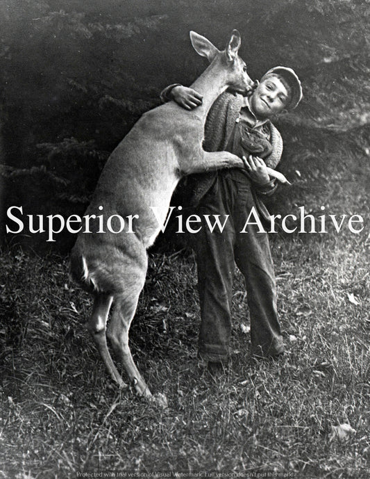 Deer Kisses-Pet Deer