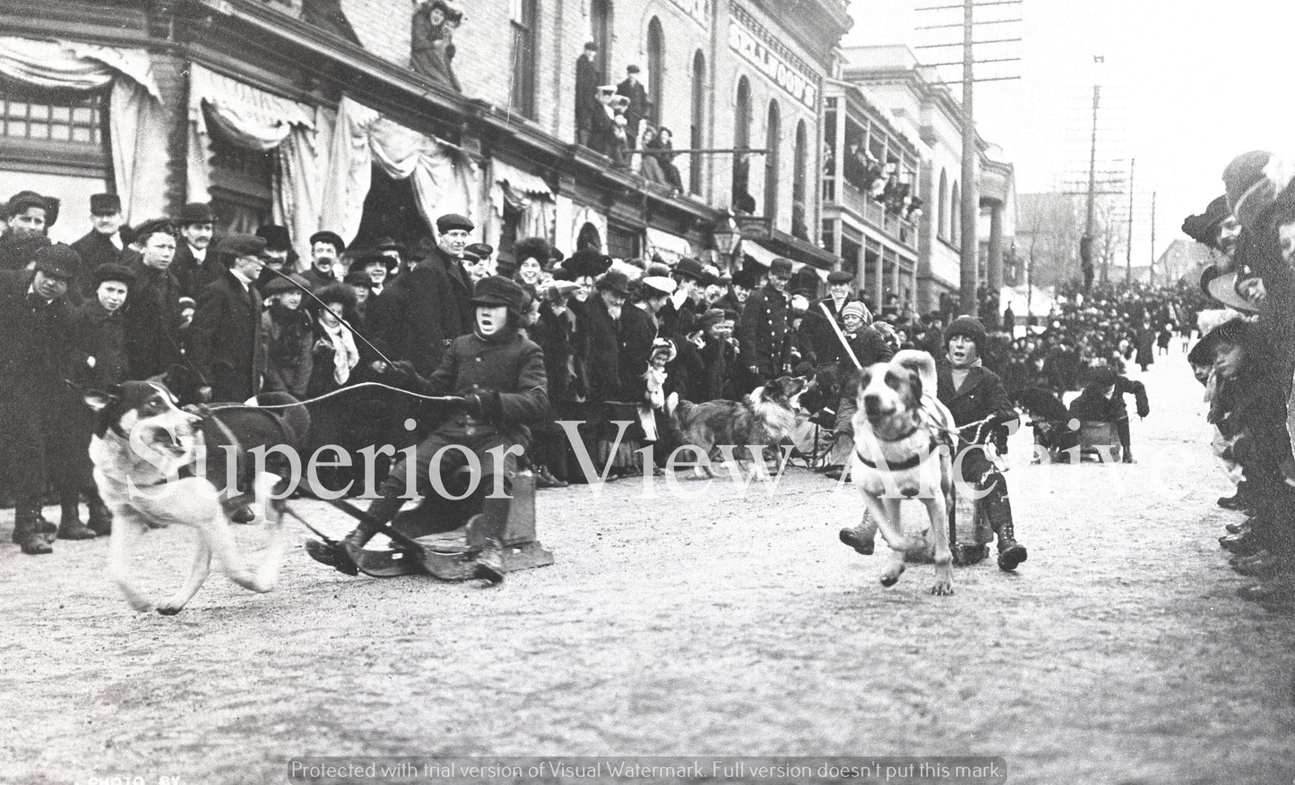 Sled Dogs in Ishpeming, MI