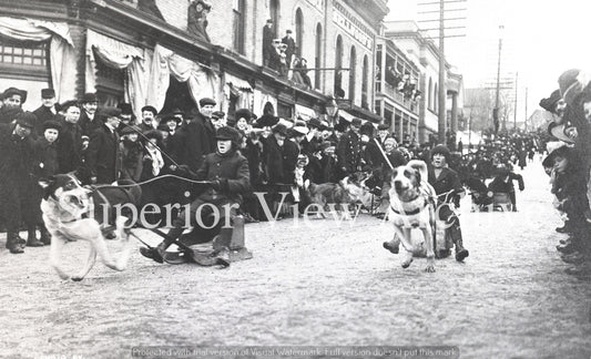 Sled Dogs in Ishpeming, MI