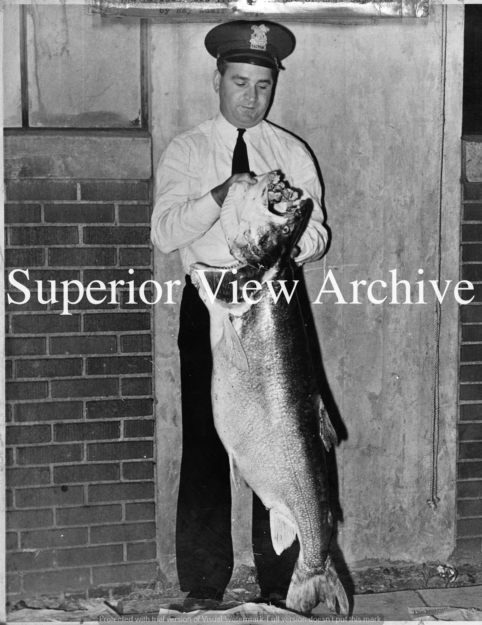 Fish Security Guard Fish Cop – Superior View Photo Archive