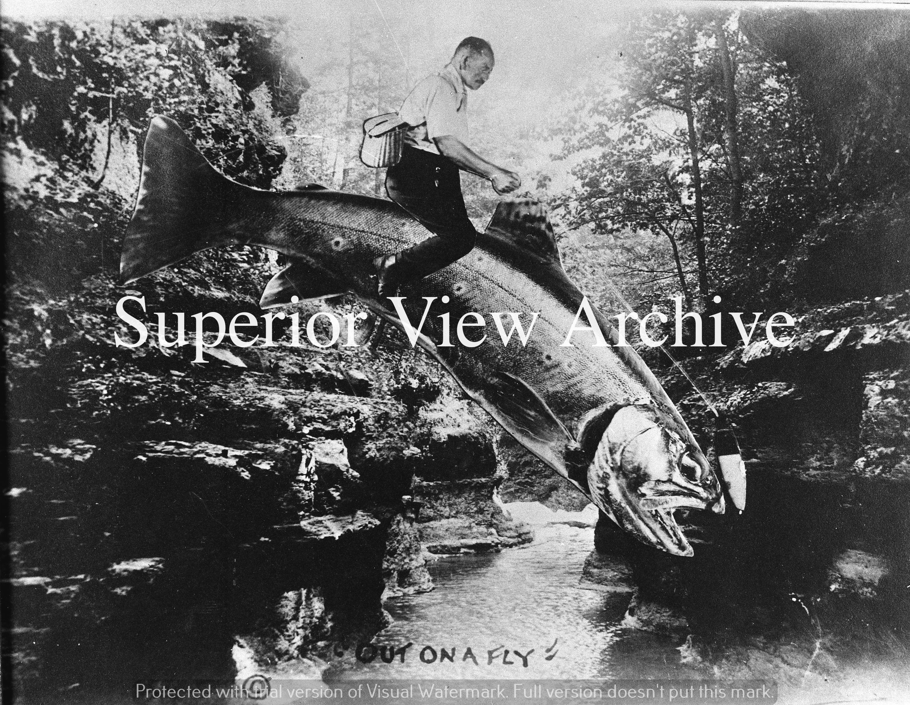 Fish Ride – Superior View Photo Archive
