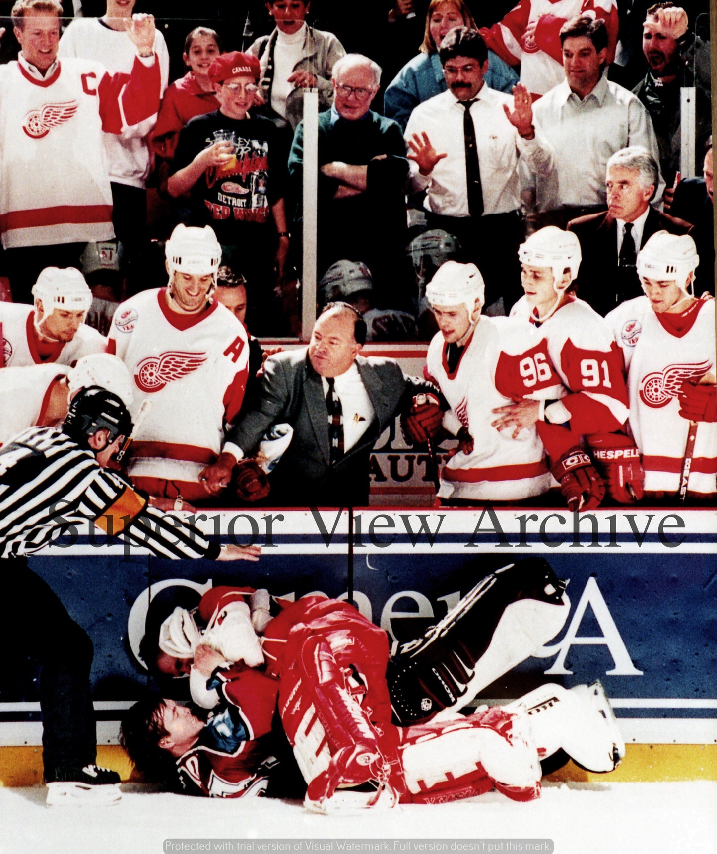 Detroit Red Wings Goalie Fight