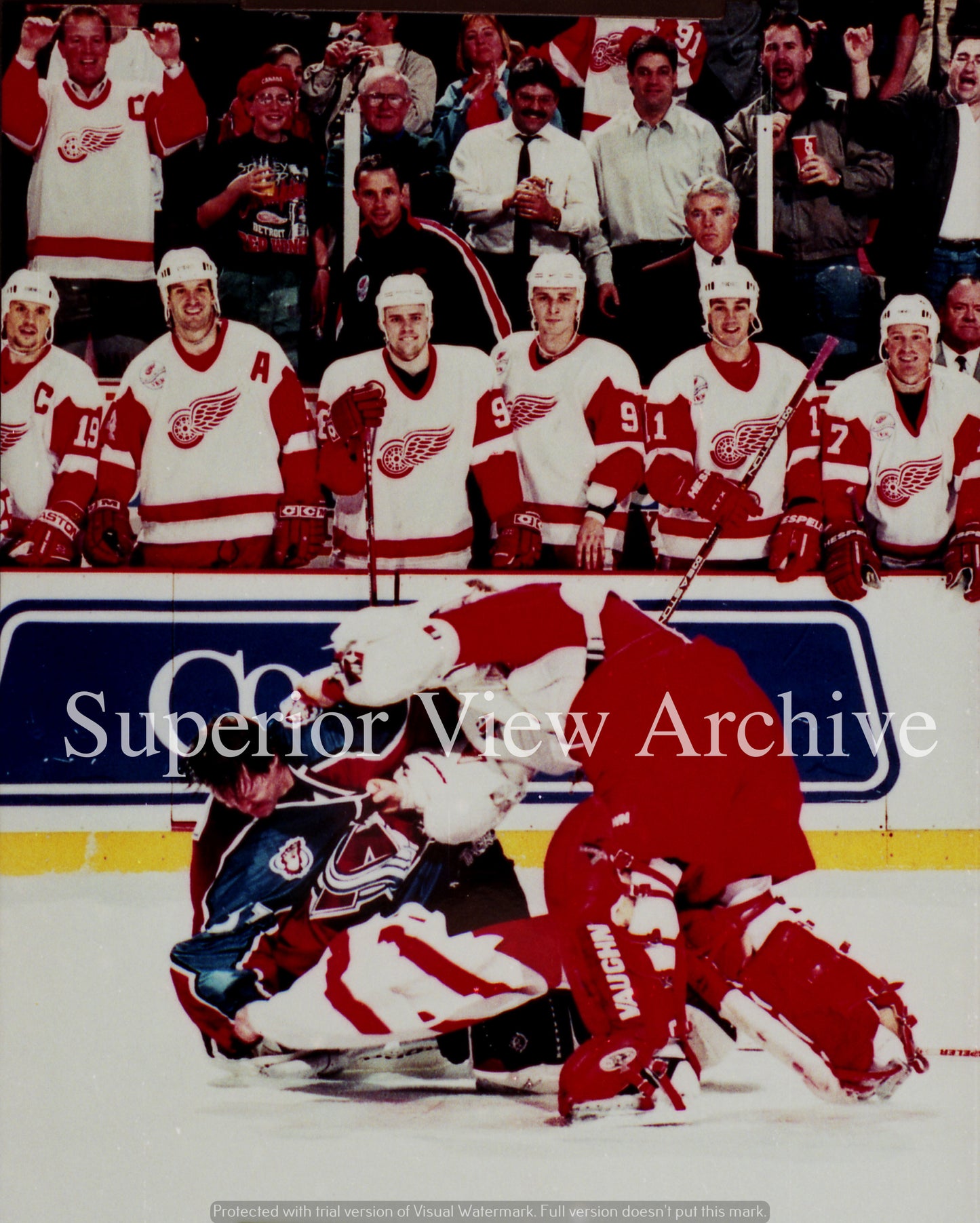 Detroit Red Wings Goalie Fight
