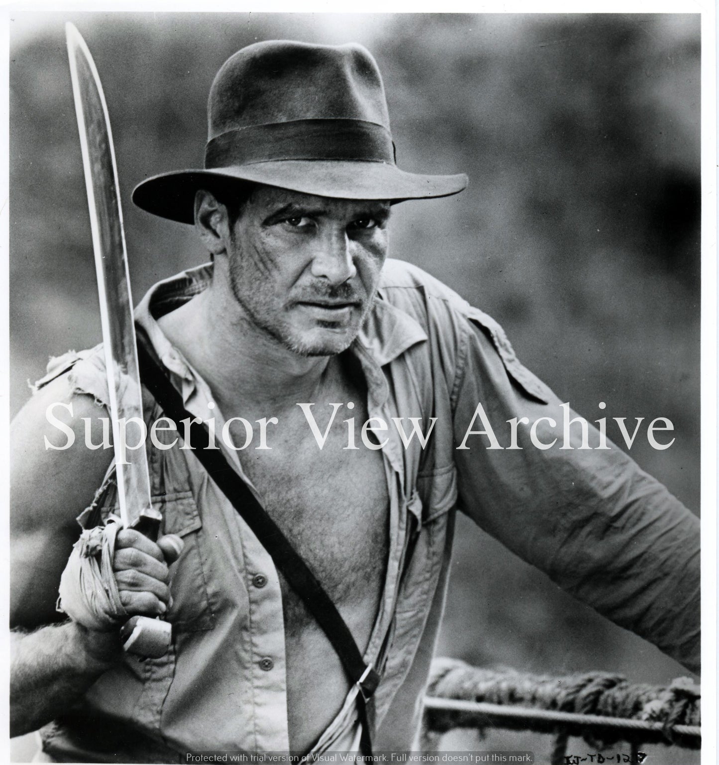 Harrison Ford as Indiana Jones