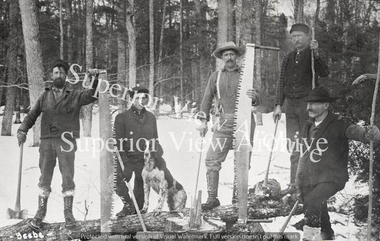 Michigan Logging Camp Lumberjacks Cross Cut Saws Axes Log Scaler Lumber Camp Dog