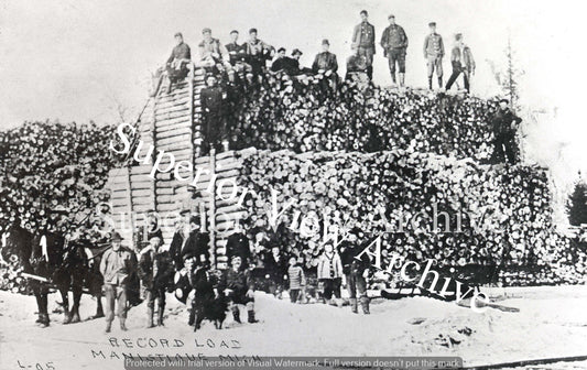 Old Time Logging Vintage Lumbering Worlds Record Load of Logs Manistique MI