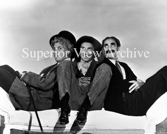 The Marx Brothers