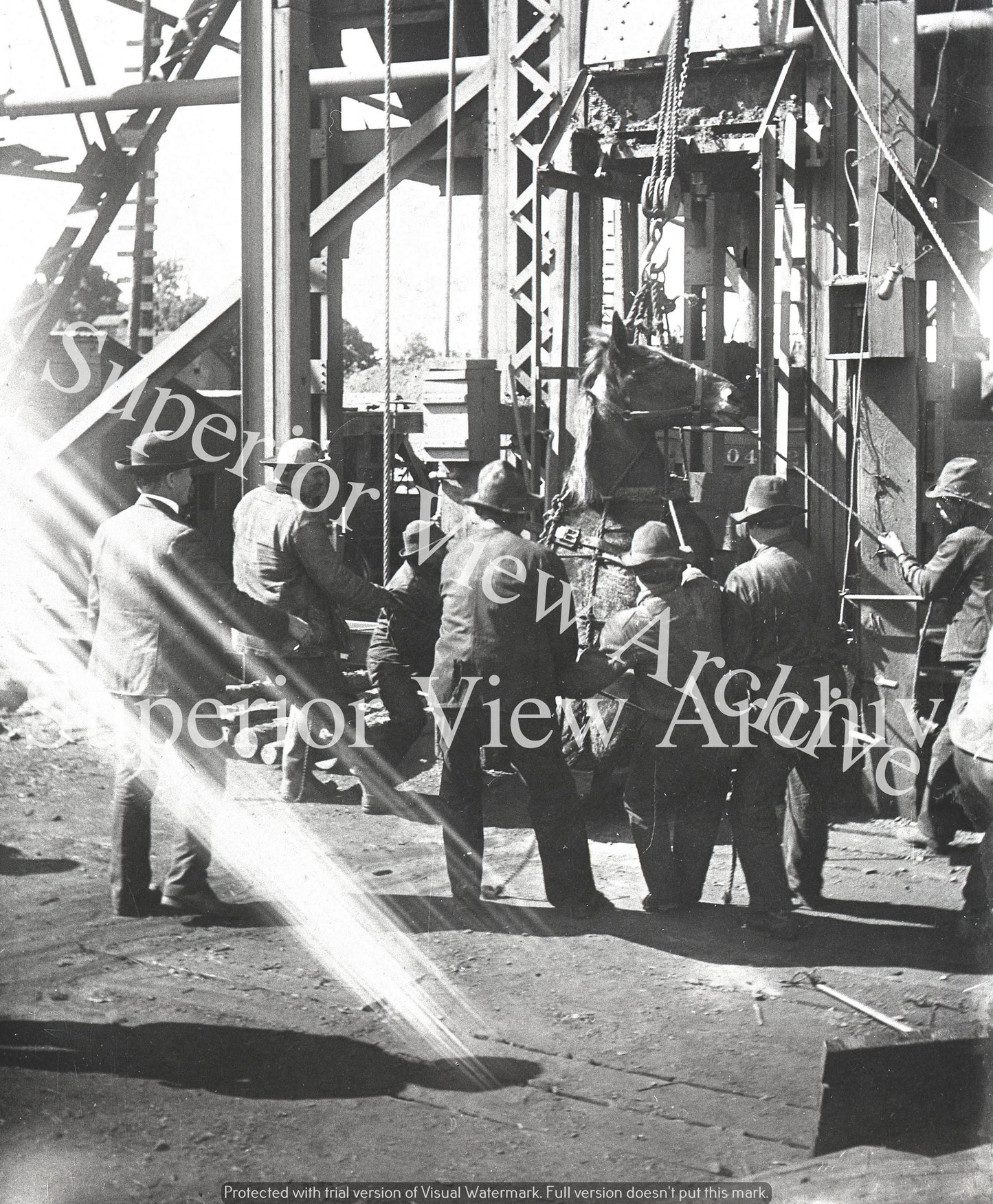 Lowering Horses Into Iron Ore Mine  Negaunee Michigan