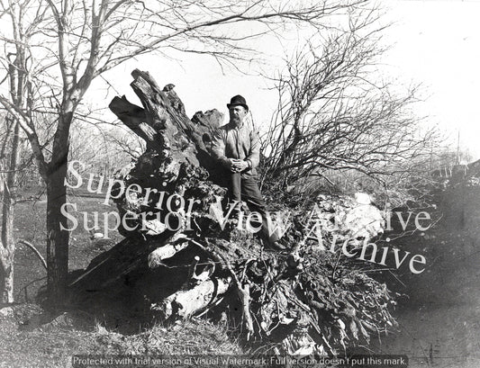 Where Iron Mining Began Stump Where Iron Ore Was Found First Mine Michigan 1844