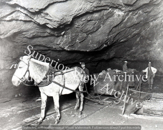 Mining Horse Ahmeek MI