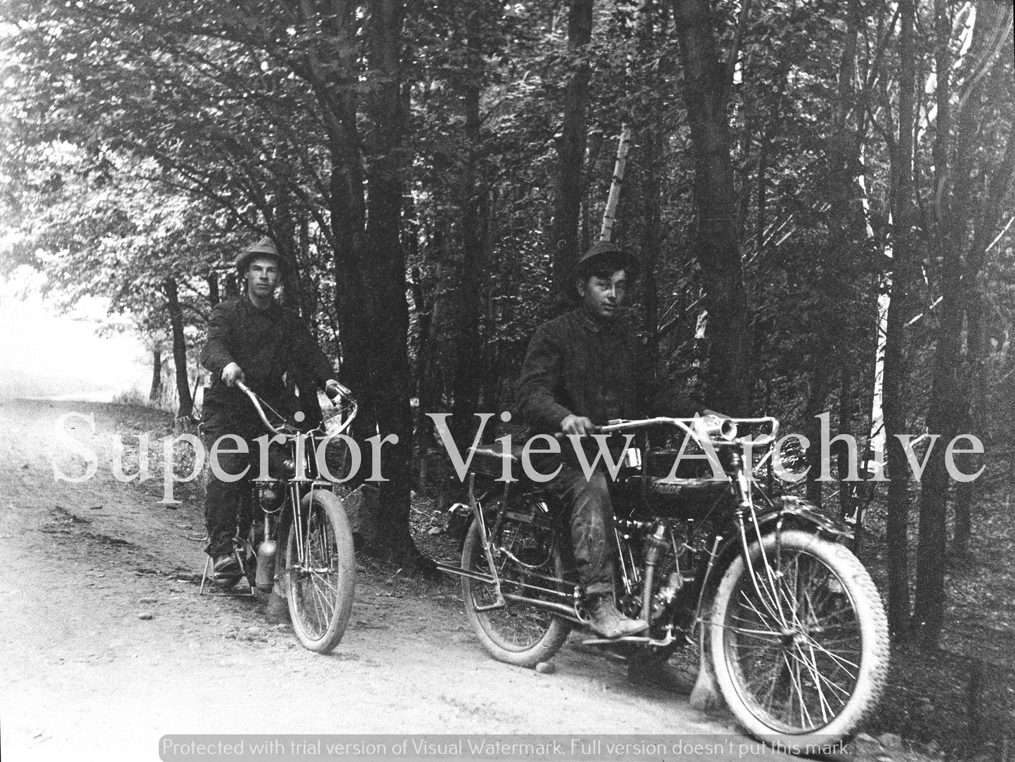 Old Motorcycles in the Woods