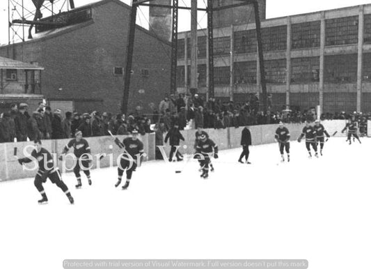 Detroit Red Wings Prison Game