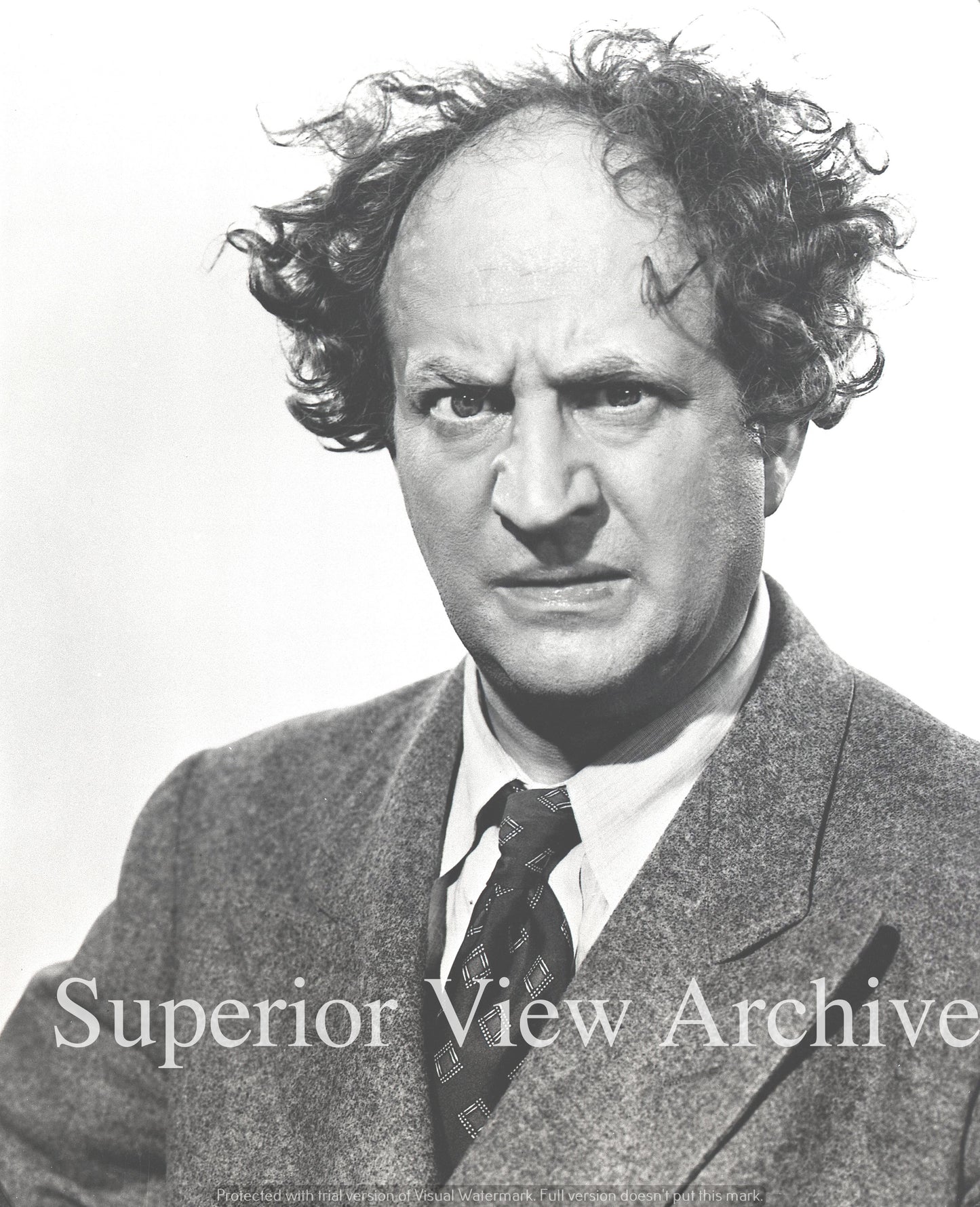 Larry from The Three Stooges