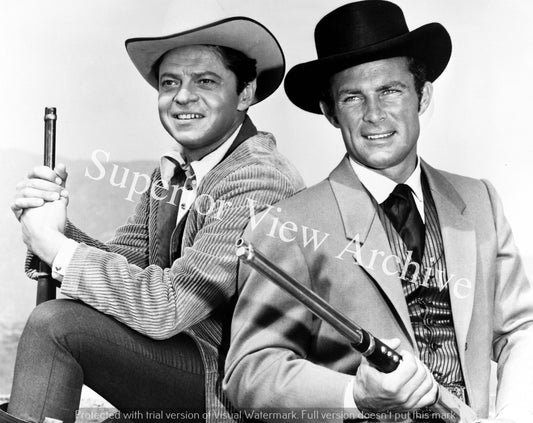 The Wild Wild West TV Show Cast James West Artemus Gordon