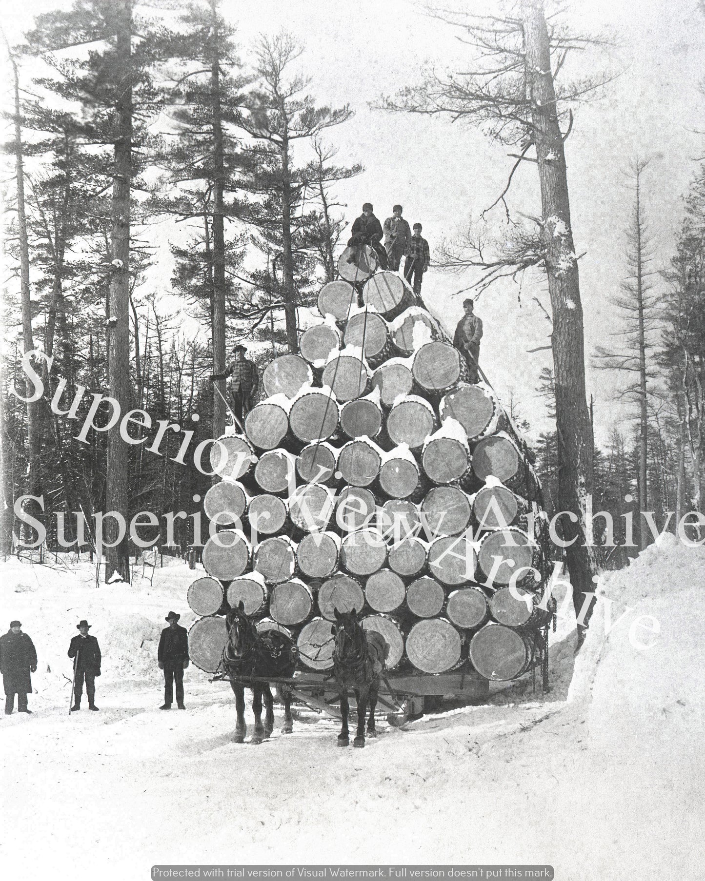 World Record Load of Logs Largest Selling Logging Photo in Michigan